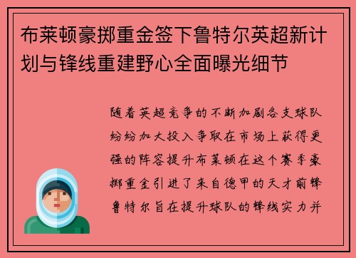 布莱顿豪掷重金签下鲁特尔英超新计划与锋线重建野心全面曝光细节